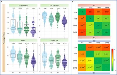 Multi-Locus GWAS for Grain Weight-Related Traits Under Rain-Fed Conditions in Common Wheat (Triticum aestivum L.)